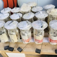 عبوه فيت بم كامل  من 2008 الى 2016  يده داخليه  بلادي تفصيخ  المركز ال...