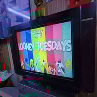 إل جي • ٢١بوصة • نظافة ٨٠٪