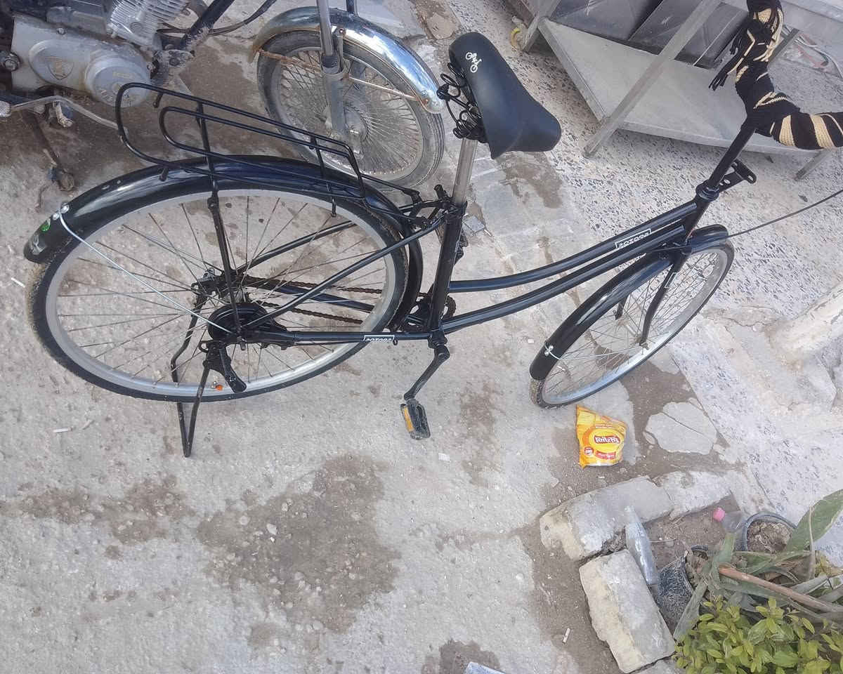 السلام عليكم شباب باسكل للبيع البايسكل نضيف المكان كربلاء البايسكل نضيف شوفت عينك التواصل ولستفسار رقم ***********❤
