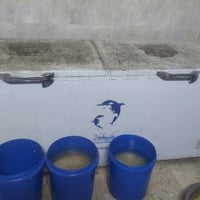 مرحبا مجمدة ايطالية ماركة (Kenwood) تجميدها جداً قوي الشراي يتصل على ا...