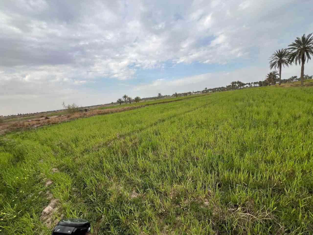 سلا عليكم
دونم و 800 متر في السجر قريب على جدول على سليمان وجدول الصب الأرض وجه طابو زراعي سند 25 بيه مي وكهرباء. وكلشي كامل بيه 
***********
***********
