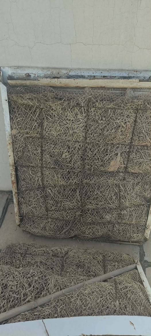 مبرده سوبر الكتريك حجم كبير 4ونص شرط الشغل،150الف


**إذا كنت صاحب هذا الإعلان وتريد حذفه لأي سبب، رجاءا أرسل رسالة إلى الدعم الفني**