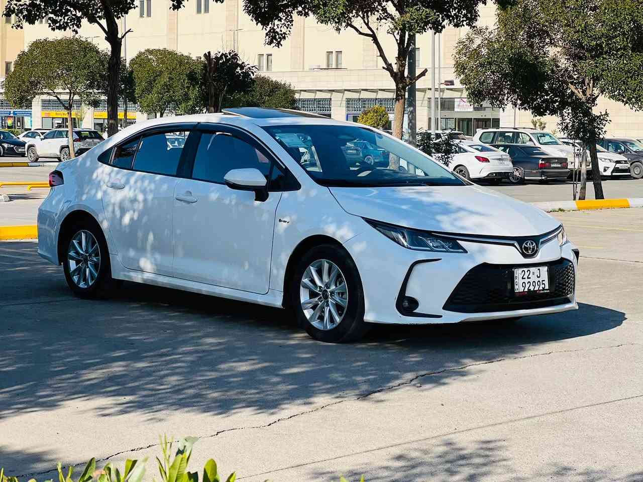 كرؤله تجميع سينى  HEV  ٢٠٢٤
دوو جي پيديئارى بجوكى هه يه 
له گه ل دوو قؤپؤبي بجوك 
باقى ده حامى بؤ ده حامى به شه رت 
٥٩ هه زار رؤيه هه وشتى نويه 
دوو سويجى خؤى له گه ل دايه 
سحرى   🔥  ١٥٤. 🔥 مه جاله كى كه م 
مؤبايل ( *********** ) واتساب أربيل, العراق
