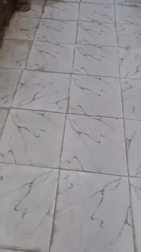 بيت خلفي • نضيف • المدينه