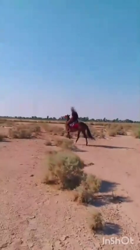 سلام عليكم فرس للبيع العمر سنتين و8اشهر سالمه ومابيه كل عيب محجله رجليه الأمام والخلف ابجيهت اليسار وجيهت اليمين الأمام والخلف مطلق المكان قضاء النصر *********** اتصال واتساب..) ***********)
