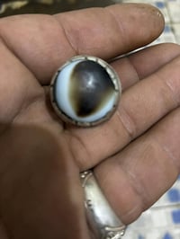 شذره • للبيع • سعر قابل للتفاوض