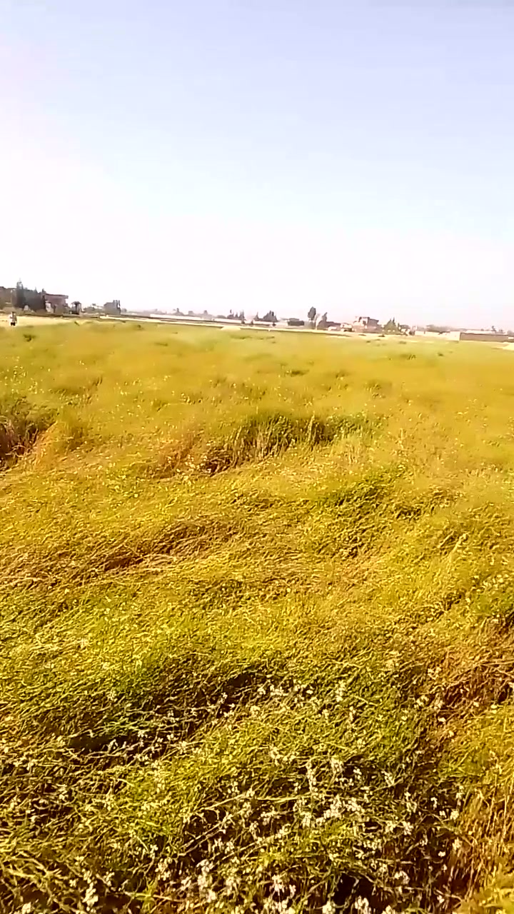 ربنا يبارك لصاحب النصيب لتواصل 01220815447/01094843213


**إذا كنت صاحب هذا الإعلان وتريد حذفه لأي سبب، رجاءا أرسل رسالة إلى الدعم الفني**