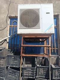 ‏‪07826187425‬‏