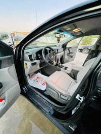 سبورتج • ٢٠١٨ • وارد امريكي