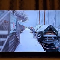 TCL 50بوصة • استخدام قليل • الشعب