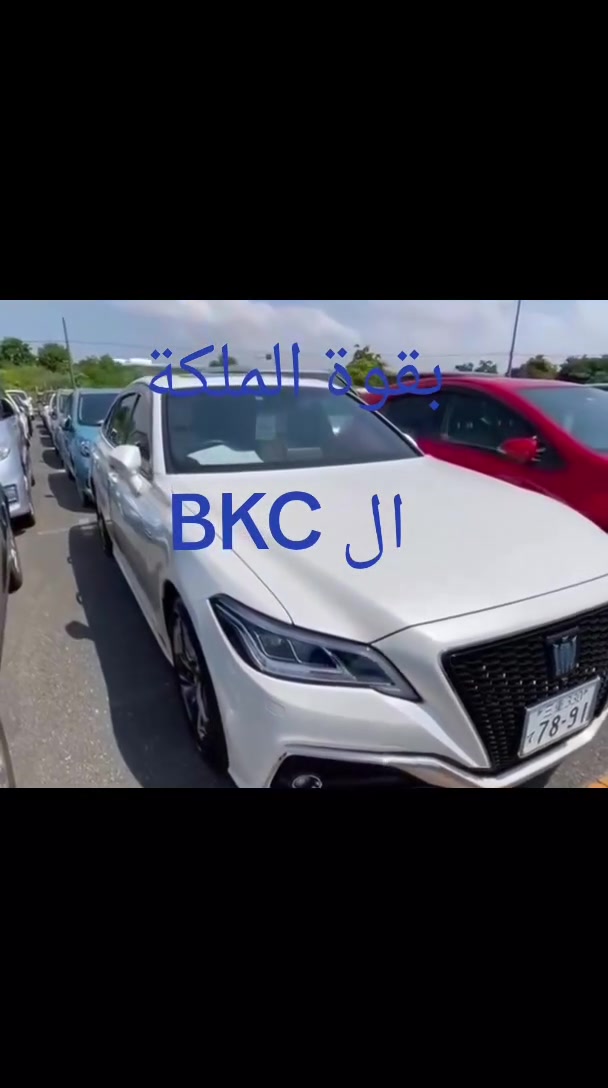 قوة ال BKC مثل قوة الملكة جمله مفرد
واتساب ***********
