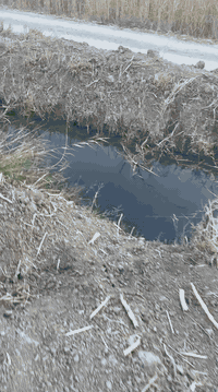 للبيع6دوانم طابو زراعي تحويل وياهن بيت ومحلات عليهن شارعين وجه تبليط نهايتهن نهر
وشارع12متر عليهن خطين مي وكهرباء

الشهابي الثالثه اطراف الفلوجة 

***********
***********

📍 الانبار - فلوجة - حي العسكري - شارع الجيش الشعبي - مقابل محكمة الفلوجة
