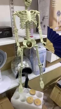 هيكل عضني • براغي • حجمه جبير