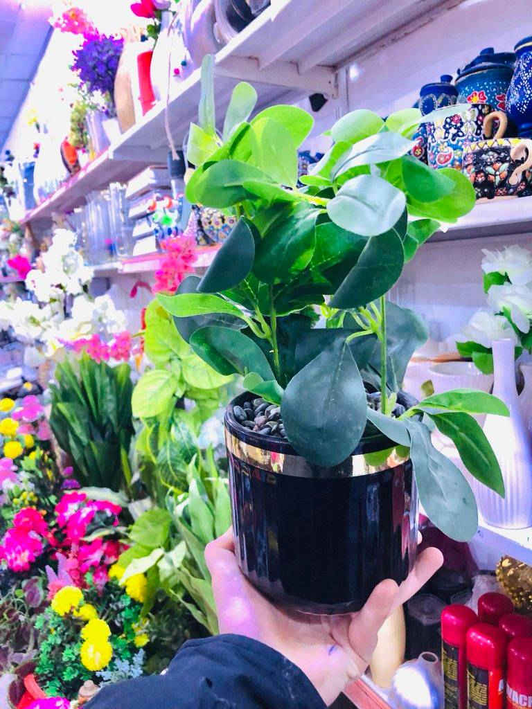 نرخەکانمان شۆک تان دەکەن باری تازەمان گەیشتووە

سەیری بابەتەکانمان بکەن جیاواز نرخەکانمان ببین 
هەموو خوار جوملە هەموو بابەت ناوازە و جیاواز 
بەس گلەی مەکەین نەما بابەت ئێمە یەک جار دووبارە بوونەوە نییە هەمیشە بابەت ناوازە وجیاواز نرخەکانمان ببین

ئێستا هەموو بەردەستە هەموو رۆژ بابەت ناوازەو جیاواز
لەبەر زۆر بابەت ناتوانین هەموو عەرز کەین فریا ناکەوین
تەنها لە هەزاری سەنتەری  سەیدسادق بەردەستە 

هەر شوێنێک بەو پارە دەسیت کەوت وەرە پارەکەت وەربگرەوە

ئیستا یەکسەر سەردانمان بکەین دوایی گلەی مەکەین نەما 

هەموو رۆژ دوکان سەعات 9بەیان بۆ 12شەو کراوەیە

یەکەم بێ رکابەرین لەنرخ و لەهەرزانیدا نەک
 لەسەیدسادق بەڵکو لەسلیمان و هەڵەبجە شەهیدیش
 کەس بەرکابەر خۆمان نازانین بۆ هەرزان 

بینیرن بو هاوریکانتان👉👉👉🙊🙉🙈

گەورەترین #ھەزارسەنتەری_سەیدسادق

بەس ئێمەین لە سەیدسادق شتی ئیمە جیاوەزە 💕
خزم و دۆستان ئاگادار بکەنەوە

ناونییشان /سەیدسادق : نزیک پردی قەرزاران یان نزیک مزگەوتی ئەبوبەکری سدیق


**إذا كنت صاحب هذا الإعلان وتريد حذفه لأي سبب، رجاءا أرسل رسالة إلى الدعم الفني**