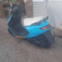 فراشة • كايمه • المجر الكبير