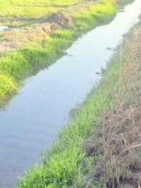 الصويرة • ٢٩ دونم • حصة ماء