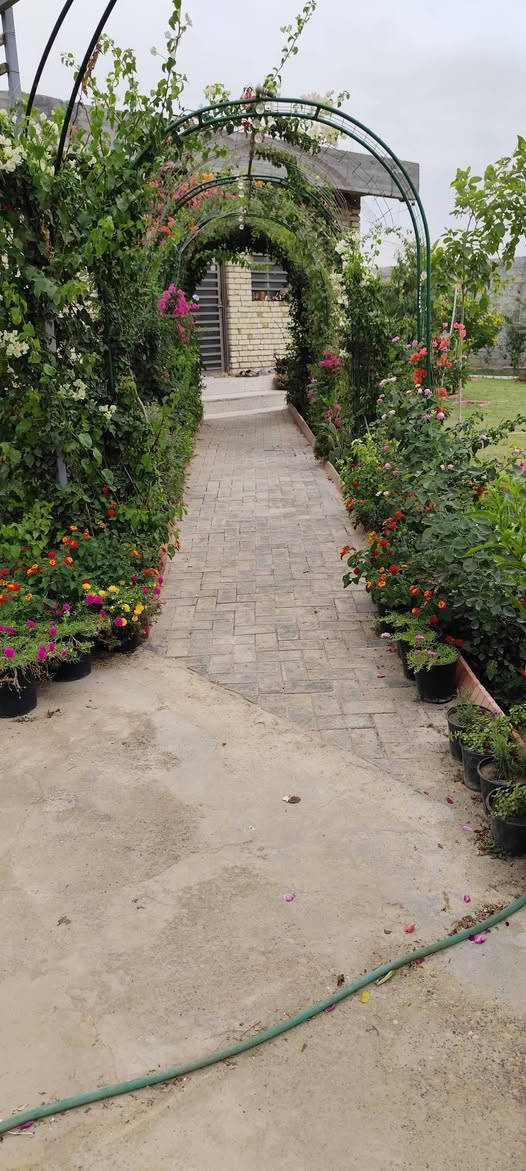 بيت للبيع المساحة الكلية ثلث دونم ( 833 متر مربع ) الواجهة 24.25 متر والنزال 34 متر
مساحة البناء 156 متر مربع سند 25 في التاجي/المصابيح
تم اكمال البناء سنة 2024 الشهر الخامس

بالنسبة للبيت: 
ثلاث غرف نوم 4×4 
مطبخ 6×4
استقبال 4×7
حمام 2.75×1.75 
حمام للضيوف 1.25×1.25
حولي داخلي 3×5
البيت مبني بطرق هندسية ومتانة قوية وهنالك تفاصيل للبناء موضحة في الفديوات

الكراج 20 متر يسع اربع سيارات

الحديقة كبيرة مزروعة ثيل بالكامل مع أنواع الزهور والحمضيات والنباتات المثمرة والنخيل وممر من الكراج الى باب الاستقبال بأقواس من الورود المتنوعة الألوان على طول السنة مع عريشة للعنب والنباتات المتسلقة

السطح شتايگر مع اربع مرازيب موزعة في كل ركن
البيت مصمم لعمل مشتملين معزولات بدرج خارجي في الطابق الثاني مستقبلا

سياج بلوك بارتفاع 3 متر 

بالنسبة للخدمات يوجد بوري ماء رئيسي 4 انج امام الباب
محولة كهرباء للفرع مشدودة وسيتم ربطها بالمحطة الرئيسية قريبا
تبليط جديد للشارع مع العلم ان عرض الشارع 8 متر 
سبتتنگ كبير

سعر البيع: 285 مليون مع مجال قليل
 للاستفسار اكثر : ***********
