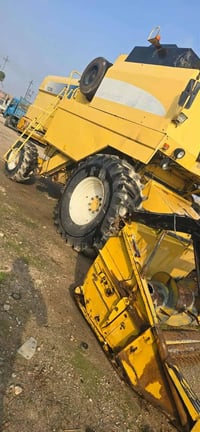 حاصوده • ٢٠٠٥ • القائم