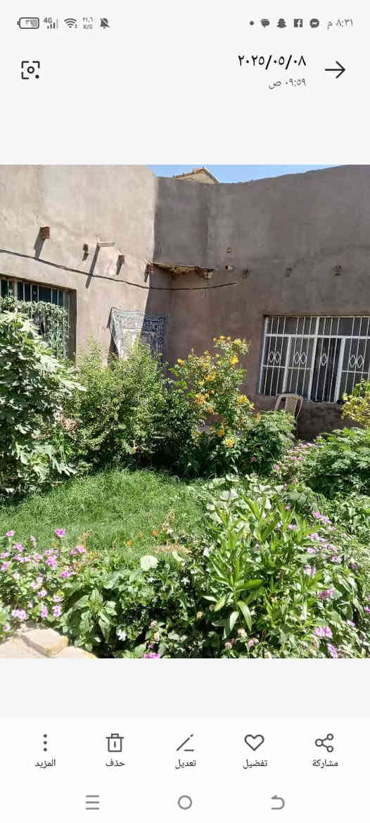 السلام عليكم
بيت للبيع مساحه 200 متر طابو زراعي قرار محكمة باسمي بناء حجر السقف عكاده الأرضية بورسلين كهرباء وماي وخط مولده شارعه 10متر يتكون من غرفتين وصاله واستقبال ومطبخ وتخاريج الموقع كوفه شارع المعمل قرب جامع الخزاعل يبعد عن الشارع العام 100 متر السعر 30وبيه مجال للاستفسار الاتصال على الرقم ***********
