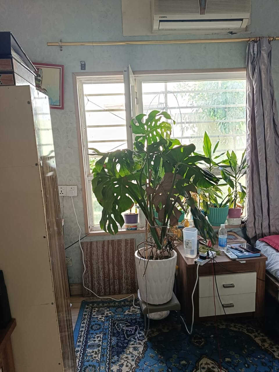 💠منزل فارغ للبيع  في مجمع ايندا 1 💠 
💠مساحة 216م
💠طابق واحد يتكون من👇🏻
♦️استقبال
♦️مطبخ مفتوح على الصالة الداخلية 
♦️حمام و تواليت
♦️غرفتين نوم
💠كراج
♦️حديقة جميلة
🔸كهرباء 24 ساعة

💠 السعر 7 دفاتر ونص قابل للتفاوض 💠 

💠 ملاحظة: البيت مطلوب اقساط 13 مليون للشركة 💠 
        

لمعرفة معلومات اكثر الاتصال على الارقام📲
***********_***********
