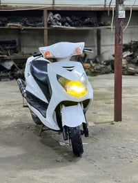 فحل • نوزل كوري • جديده