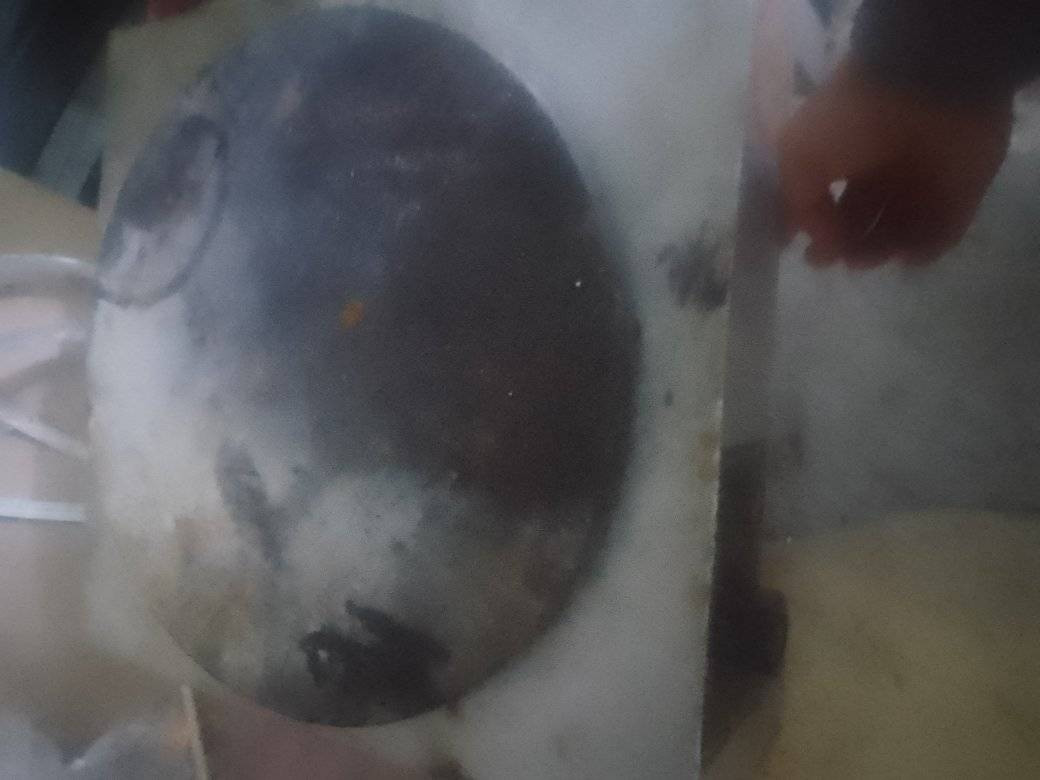 طباخ كنافه وحمايه كريب للبيع *********** متوفر واتس اب وفيس
