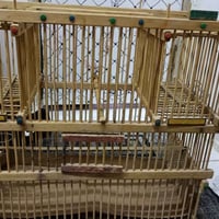 قفص صيادي • صياديتين • البصرة الأربع شوارع