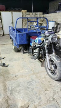 ستوته • موديل 23 • مرقمه