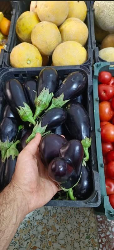 حر الصيف عوفه علينا.. ومسواكك يوصل لِـ باب بيتك! ☀️🍅

السلام عليكم .. تحية طيبة لأهلنا . ✨

احتراماً لوقتكم وما نريد تعبكم بهذا الحر والسموم، وبدل ما تطلعون وتتعبون بالأسواق، إحنا راح نريحكم! مسواككم اليومي من الخضروات والفواكه الطازجة والدرجة أولى (طماطة، خيار، باذنجان، وكلشي يحتاجه المطبخ العراقي) صار يوصلكم مثل ما تحبون وبأعلى جودة.

💡 ليش تختارنا؟
✅ توصيل سريع: نغطي كل مناطق الديوانية وبدون تأخير.
✅ بضاعة مكفولة 100%: القطعة الماتعجبكم ترجع فوراً وما يكون خاطركم إلا طيب، لأن رضاكم هو هدفنا الأول.
✅ الأمانة والثقة: ثقتكم بينا هي رأس مالنا الحقيقي.

لا تتعب نفسك بالطلعة.. راسلنا هسة على الواتساب وإحنا بخدمتك ونجهزك بأفضل ما يكون 👇
📱 ***********
