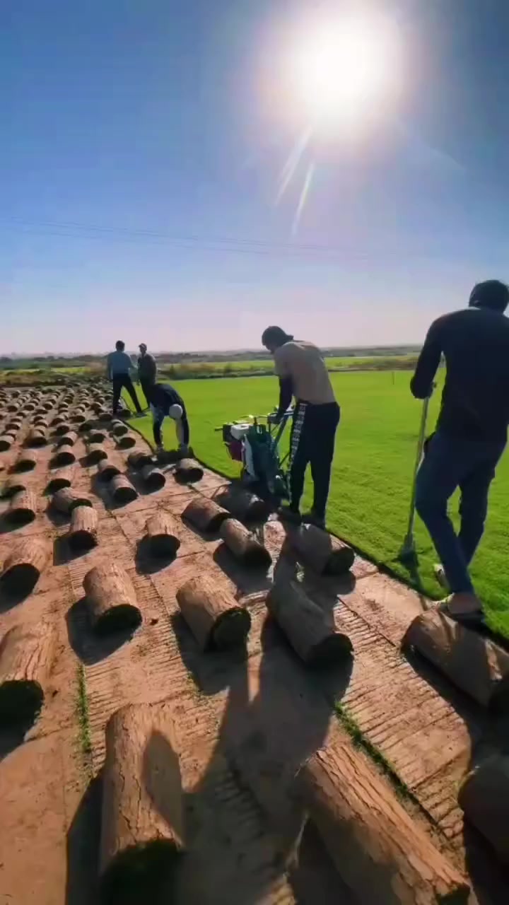 ان ارضيناك فتحدث عنا ووان لم نرضيك فتحدث إلينا 
   اجمل مايقتنيه منزلك🏡
 متوفر لدى  ☘️مزارع إنتاج الثيل الطبيعي ☘️
تجهيز كافة انواع الثيل الطبيعي هندي_إنكليزي_إسباني إيطالي_فرنسي لكافة محافظات العراق باسعار تنافسيه وبأختلاف الكميات
#مستعدون لتجهيز الحدائق والدور السكنية والمتنزهات العامة والملاعب والمشاتل وكافة دوائر الدولة بكميات كبيرة 
توصيلنا الاسرع واسعارنا الانسب
#خلي بيتك ينبض بالخضار
كل العليك الاتصال او مراسله الصفحه لمعرفة كافه التفاصيل 

***********  
***********
