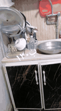 بالغزاليه ***********
