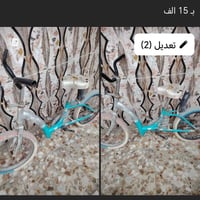 دراجة • مقاس ١٥