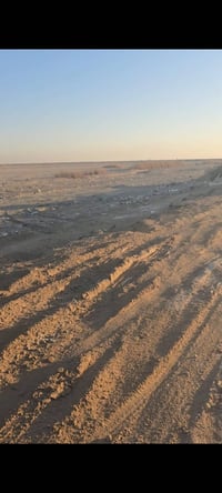 بحر نجف • طابو زراعي • ٥٠٠ دونم