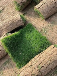 فرش ثيل • حدائق