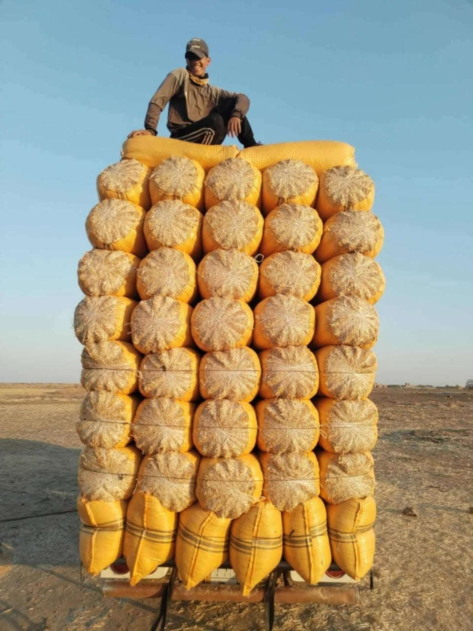 موجود تبن جميع الاحجام توصيل لباب البيت بسعار جوه السوك *********** اترخص من صاحب الكروب ورزق على الله
