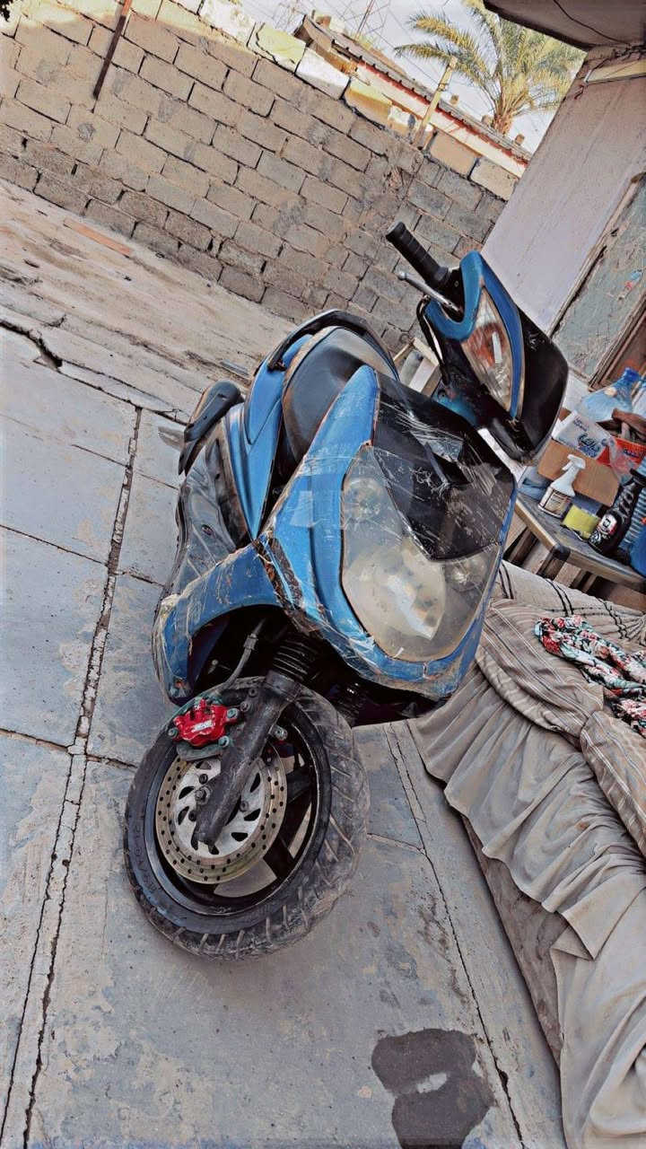 سلام عليكم سكنس فحل  للبيع الدراجه مكصوصه من بره قبل سنه الدراجه 58 تزويد بلادي 600 وبيهه مجال *********** بيه وتساب
