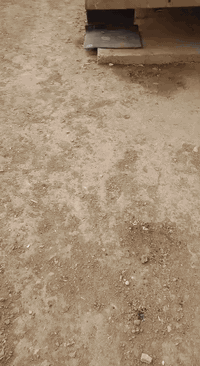 بدي للبيع ***********.......
