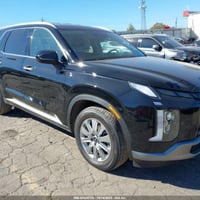 باليسايد • ٢٠٢٤ • ضرر بسيط