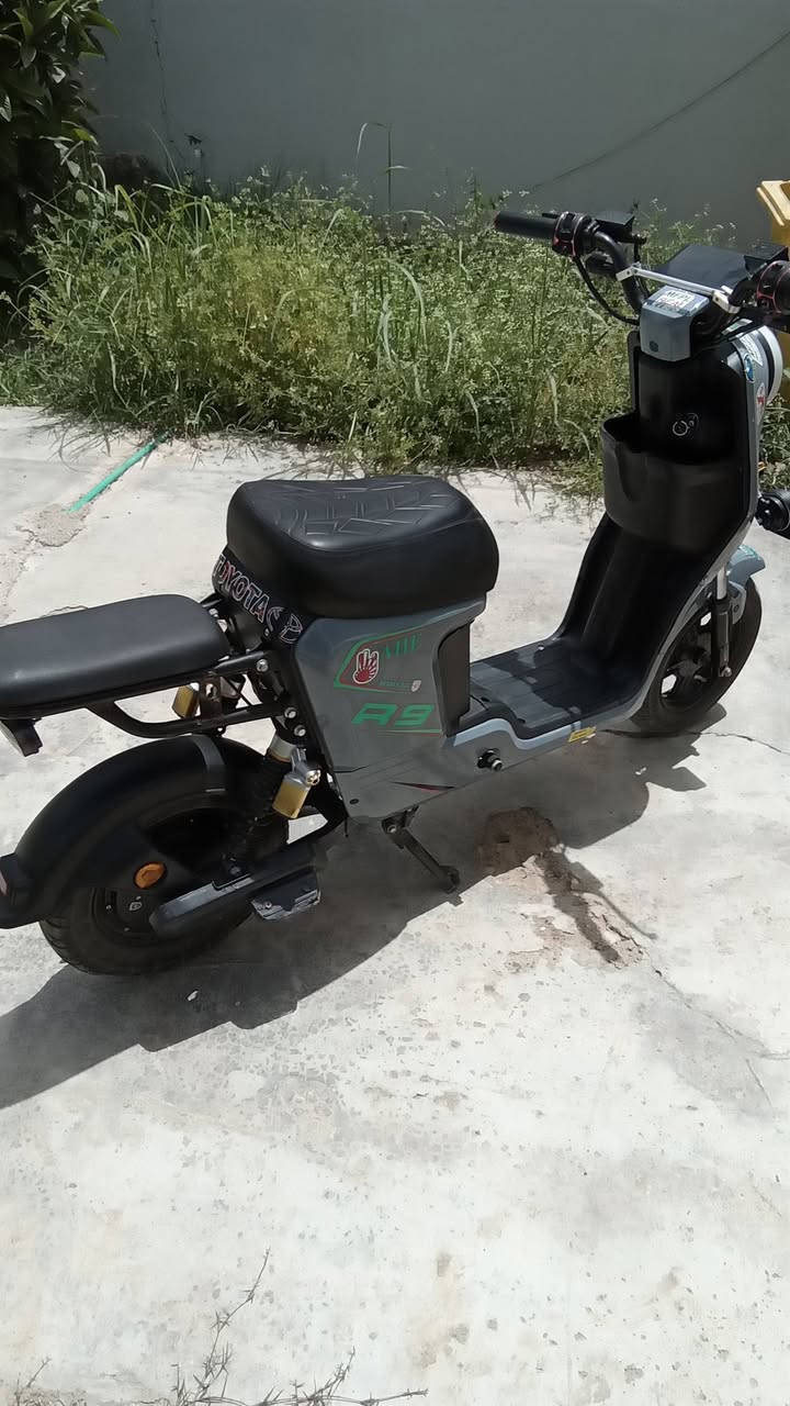 السلام عليكم دراجه شحن ا رتسعه للبيع نضيف موديل ٢٠٢٤ كله كامل بطارات الدبل الولي دراجه فول مواصفات مكان ديالى بعقوبه السعر ٤٠٠ بي مجال للطيبين تفضلو خاص


**إذا كنت صاحب هذا الإعلان وتريد حذفه لأي سبب، رجاءا أرسل رسالة إلى الدعم الفني**