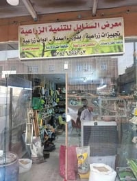 محل • سنادين فارغه • بداية السوك