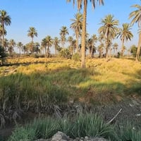 كربلاء • دونمين وربع • واجهة 30م