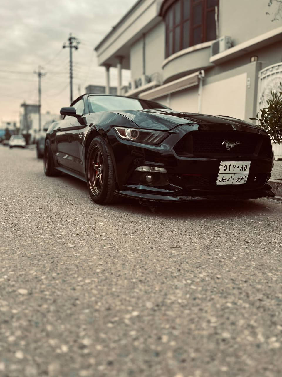 موستانك GT2017
محرك v8 
مواصفات برميوم يعني فول
ضرر قطعتين صبغ فقط
جاملغ امامي وجاملغ خلفي
سياره بدون نقص
كير محرك بشرط
ماشيه 68 الف ميل
مكاني كركوك
سعر مناسب جداً
 الي يحب يتواصل علواتس ايتصل علرقم
***********
