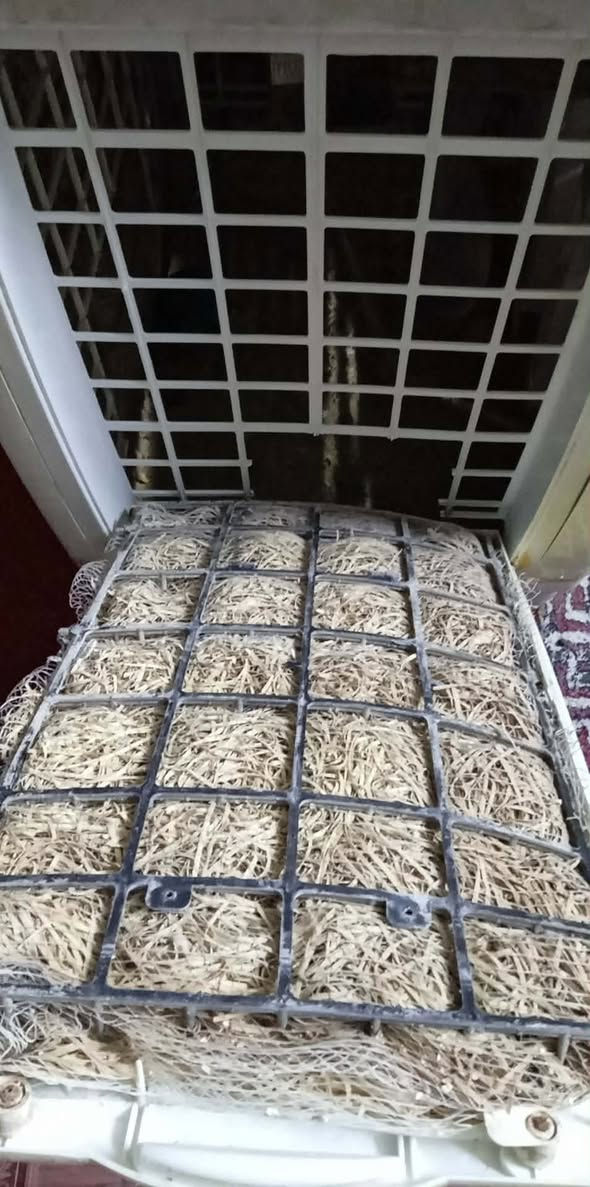 مبرده مستعمله نضيفه ب110 قفل 100 عنوانه نجف


**إذا كنت صاحب هذا الإعلان وتريد حذفه لأي سبب، رجاءا أرسل رسالة إلى الدعم الفني**