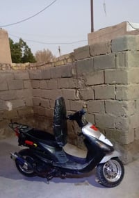 ماكس منغولي • ٤٩ سي سي • بصره كرمت علي