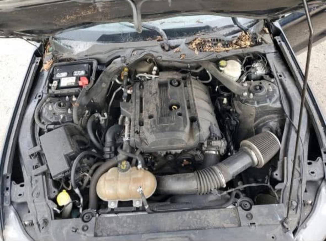 كوردي - عربي

البيع كآفةالأدوات سيارات إمريكي فورد جيب دوج  
اوباما شوفرليت رقم تليفون 📞 ***********
                                       0771448880

بؤفرؤشتي هەموجۆرەکەلوپەلی  ئۆتۆمبیل امریکی فۆرد جيب دۆج اوباما شوفرليت
رقم تليفون 📞 ***********
                                       0771448880
