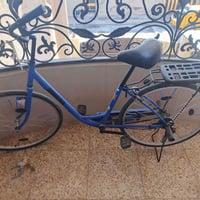 باسكيل • مرتب • ٧٠