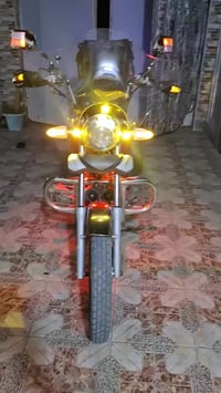 ستوته • تايجر • مراوس