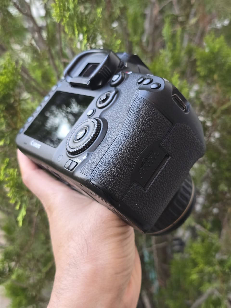 Canon 7DII
28-80 
للبيع 
كانون 7DII مع عدسة ٢٨-٨٠ و بطارية و شاحن أصلي و حزام 
نظافة ٩٥% 
شتر ٤٨
سعر ٥٨٠ ألف، توصيل متوفر.


**إذا كنت صاحب هذا الإعلان وتريد حذفه لأي سبب، رجاءا أرسل رسالة إلى الدعم الفني**