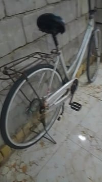 بسكليت • فهود حي المحكمه