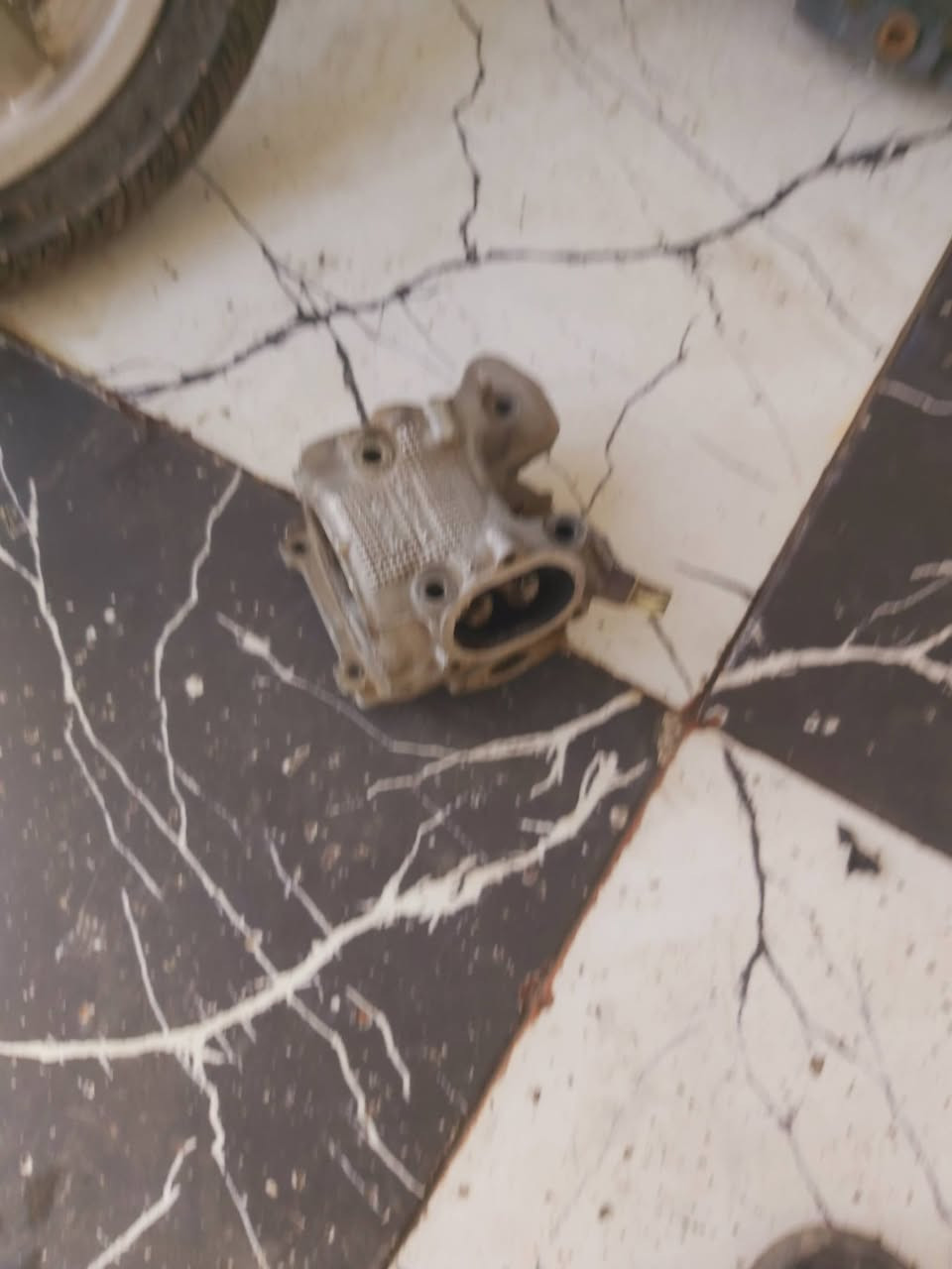 السلام عليكم 
كور سكنس بلادي نوزل
طابوكه سكنس 
صالنصه سكنس بلادي ام الحساس
وياله سكنس بلاديات زوج وياهم تخم تاير جديد
مكاني كوت 
***********
متواجد خاص
